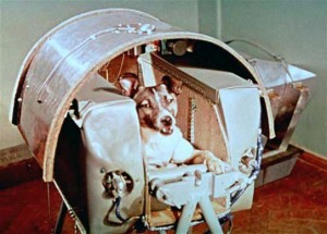 Laika in Sputnik-2 compartment